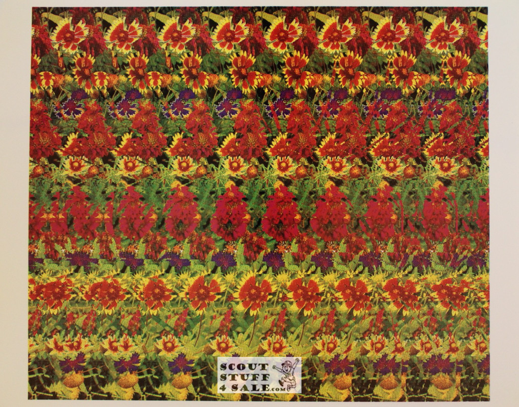Flower Trio Magic Eye 3D Optical Illusion Poster Postcard, Classico SF #536-019, 11x14"