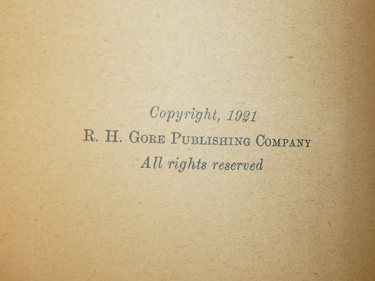 The Mystery of the Missing Eyebrows, The Newspaper Boys' Series, By Stephen Rudd, 1921 First Printing, Hardbound