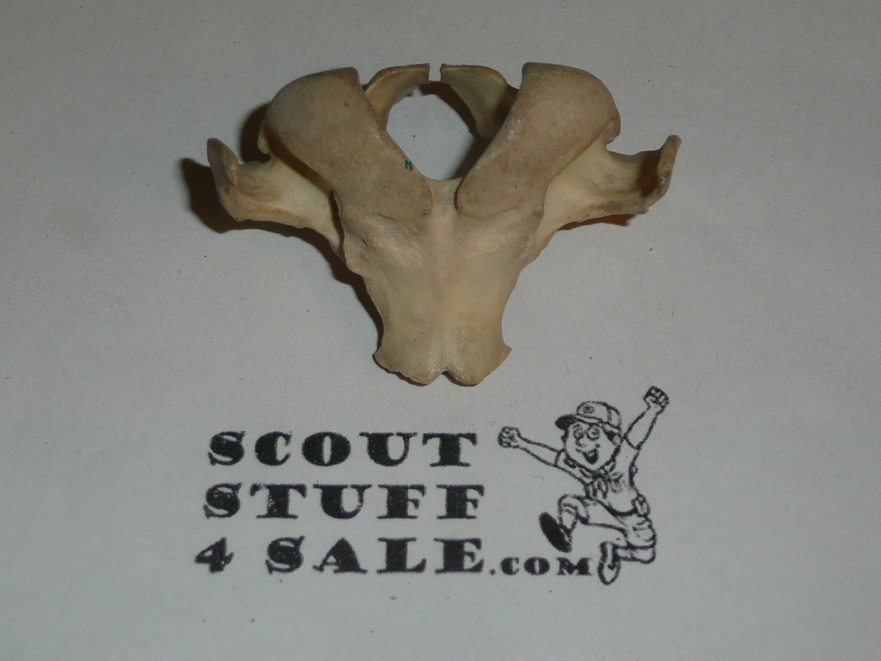 Animal Vertabrae Neckerchief Slide #4