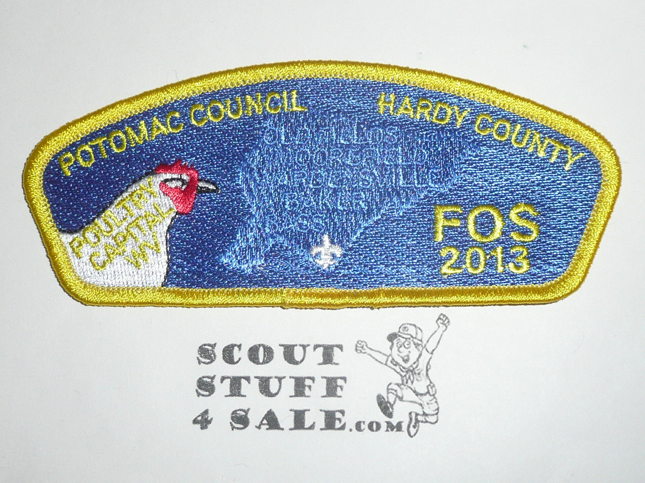 Potomac Council sa11 CSP - Scout