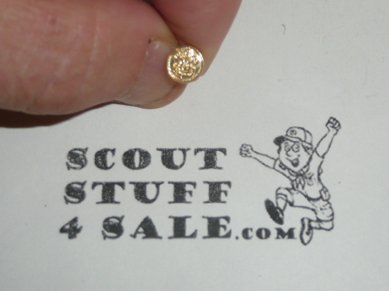 District Committee Knot Device Pin, First Class Scout emblem