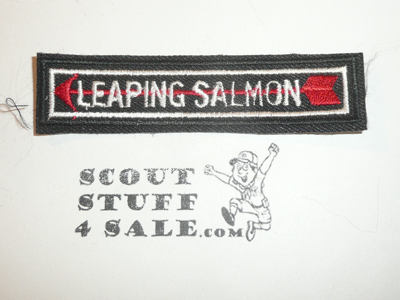 Order of the Arrow Lodge #354 Mayi x67 Leaping Salmon Segment Patch