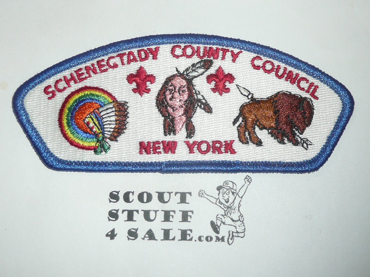 Schenectady County Council s2 CSP - Scout   MERGED