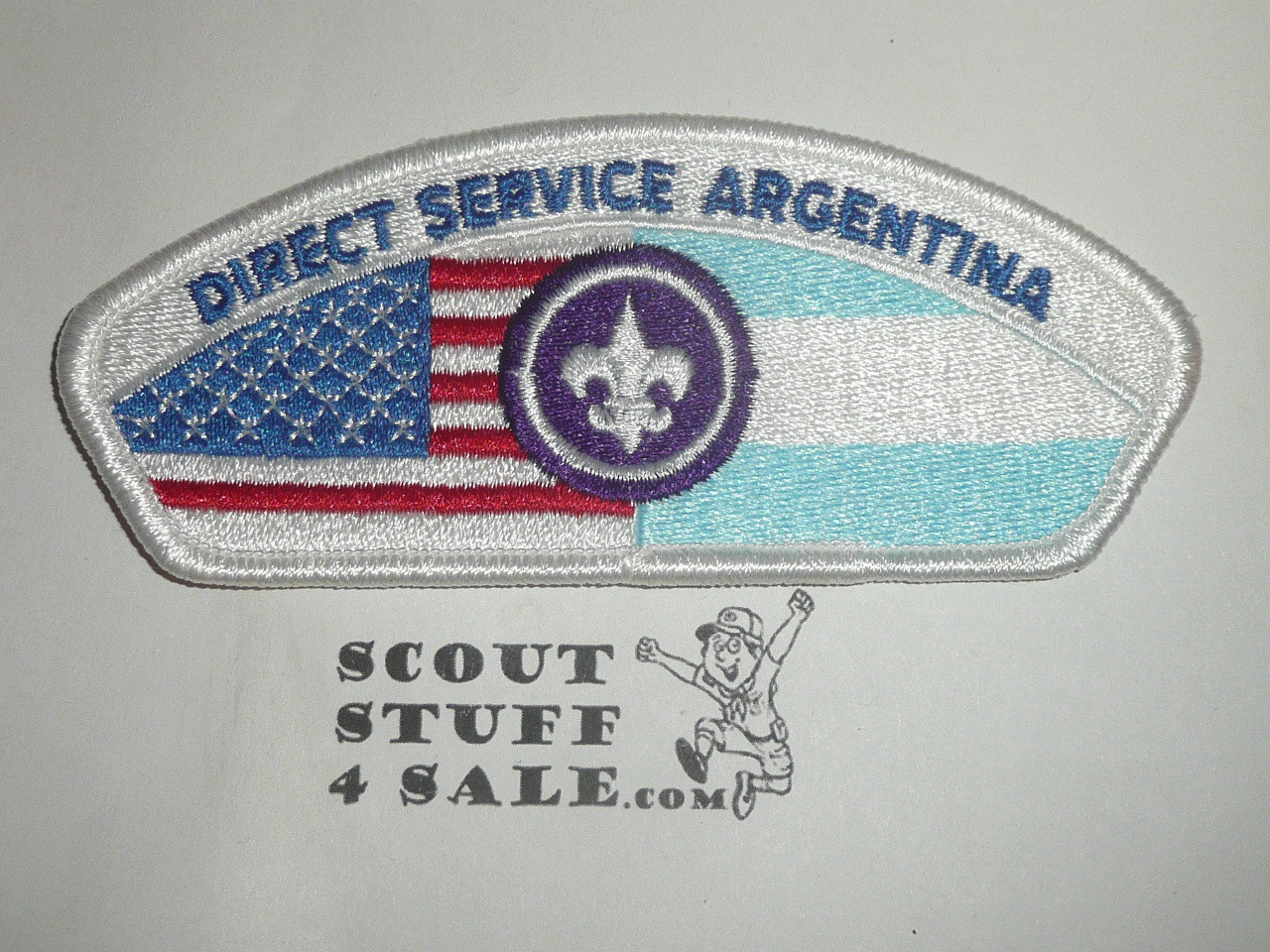 Direct Service Council ARGENTINA s1 CSP - Scout