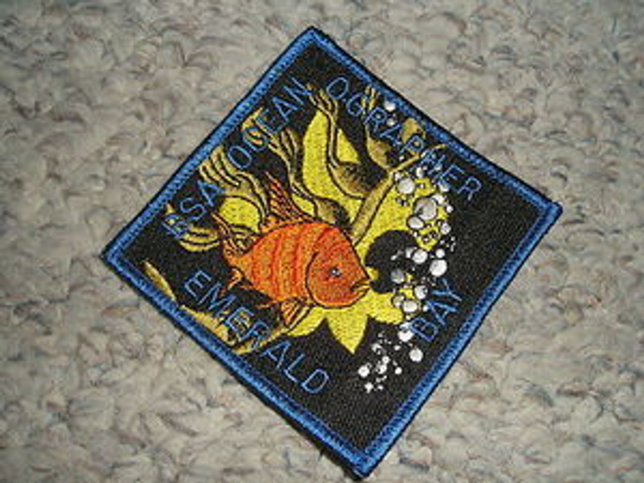 Camp Emerald Bay Oceanographer Patch - Variety #1