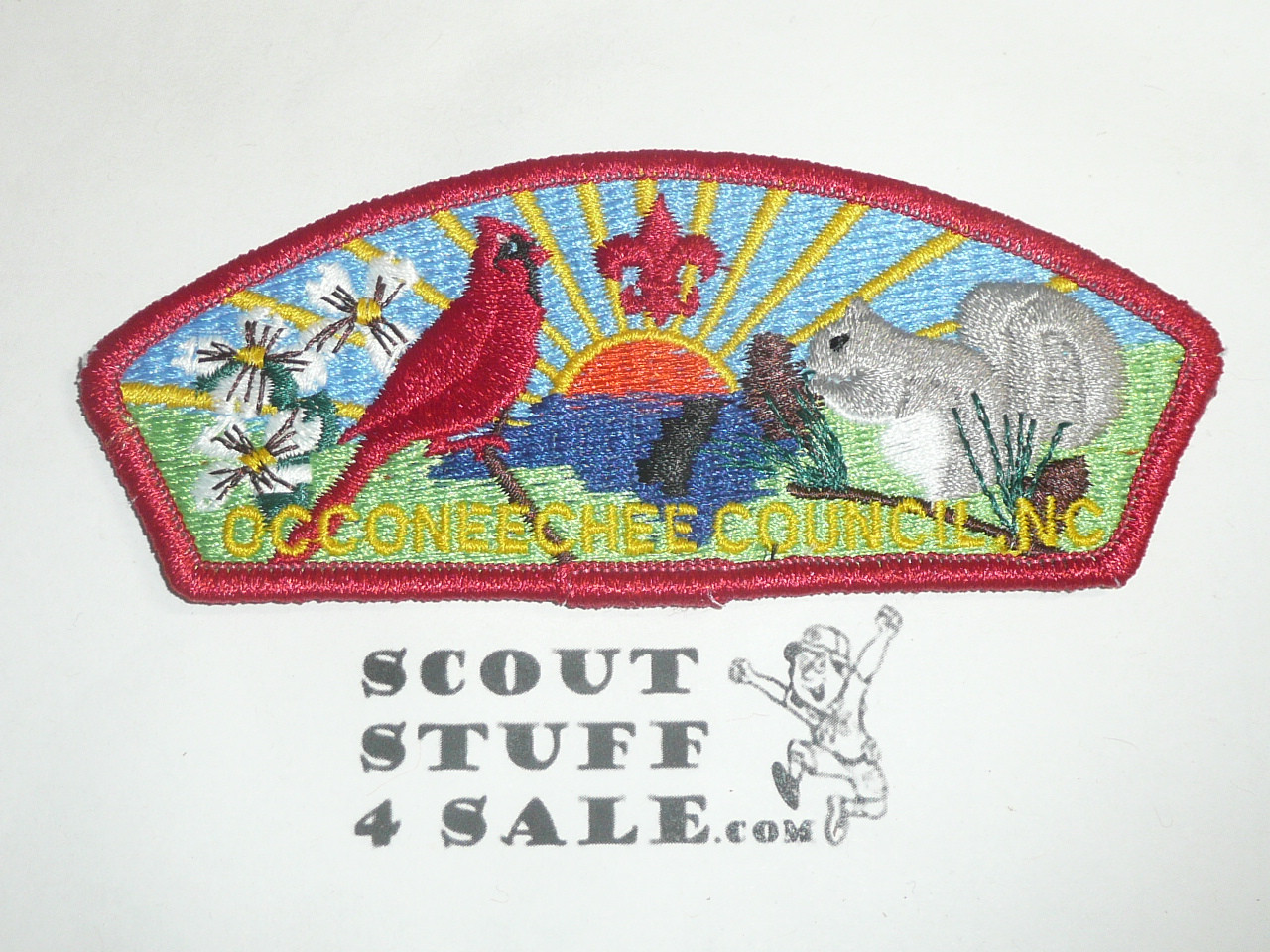 Occoneechee Council sa7 CSP - Scout