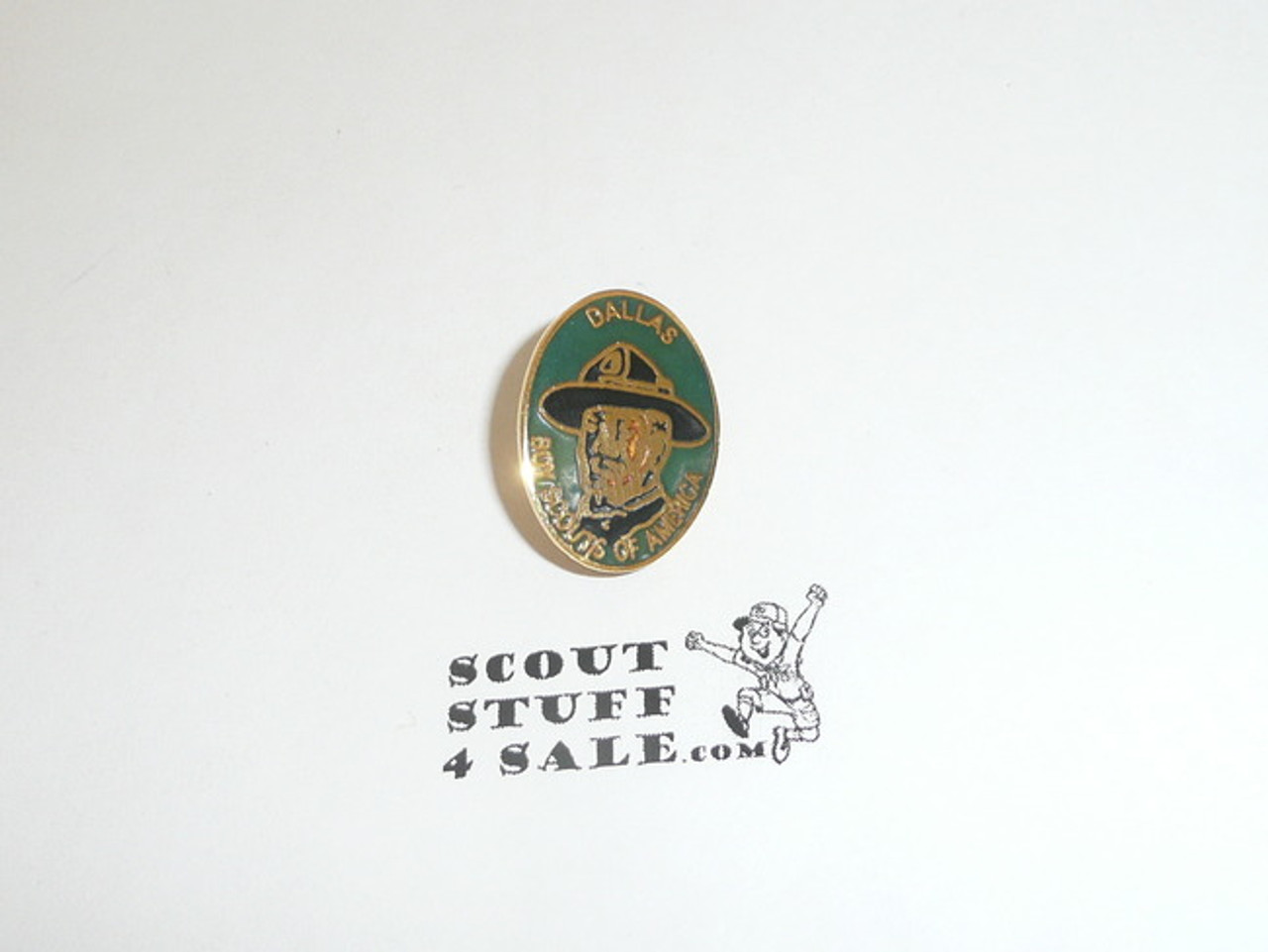 Dallas Council Pin