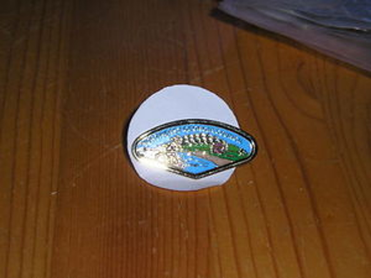 Northeast Georgia Council CSP Shaped Pin - Scout