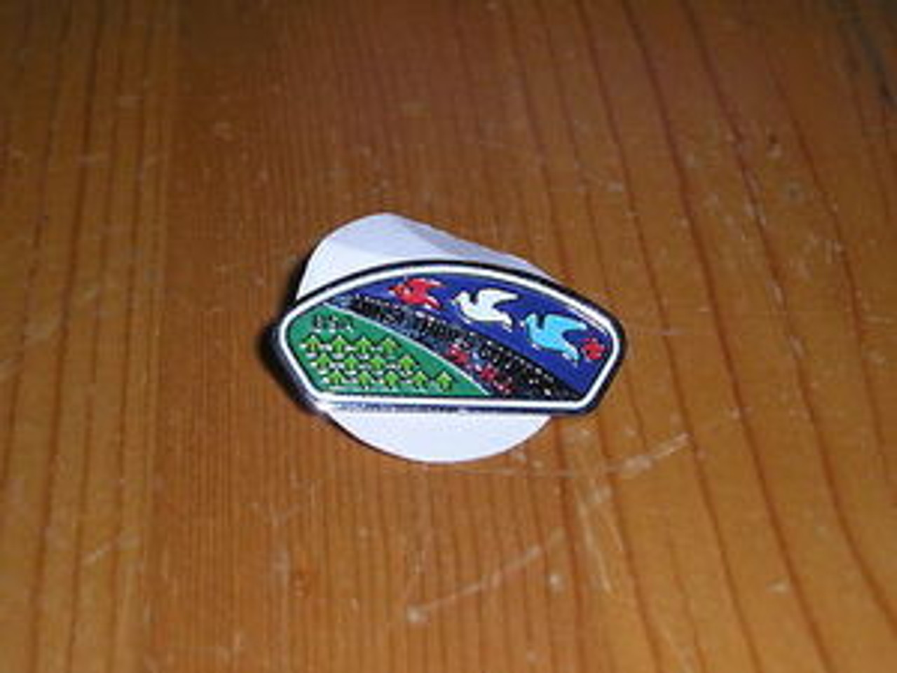 Minsi Trails Council CSP shaped Pin - Scout