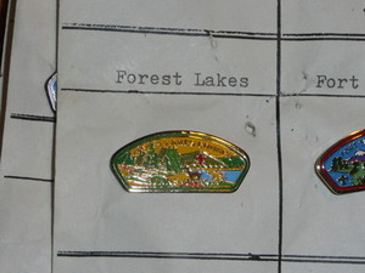 Forest Lakes Council CSP Shaped Pin - Scout