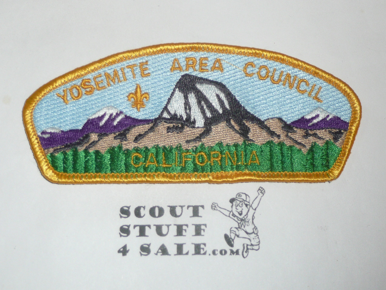 Yosemite Area Council sa6 CSP - Scout