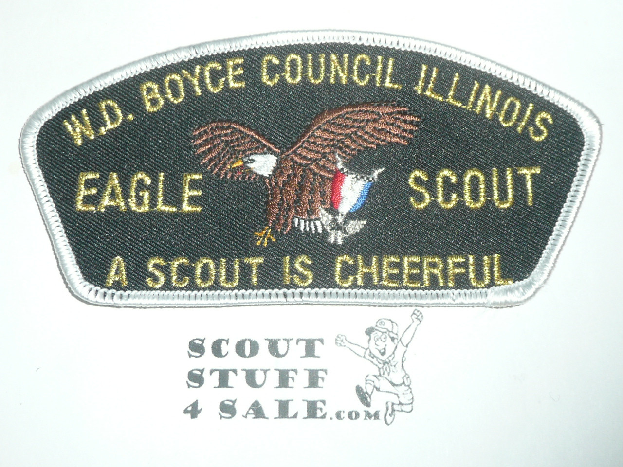 W.D. Boyce Council tu-l CSP - Eagle Scout