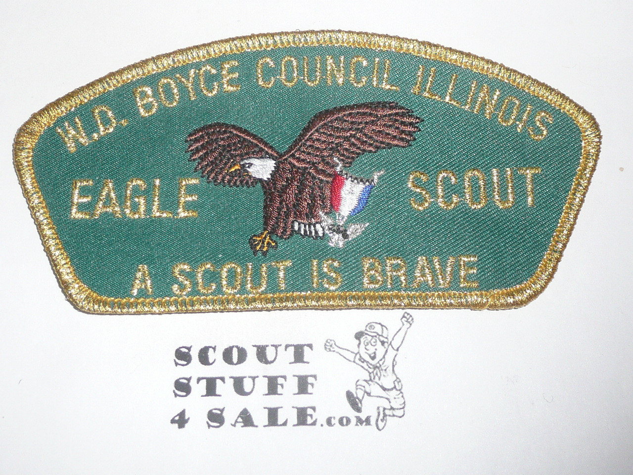 W.D. Boyce Council tu-q CSP - Eagle Scout