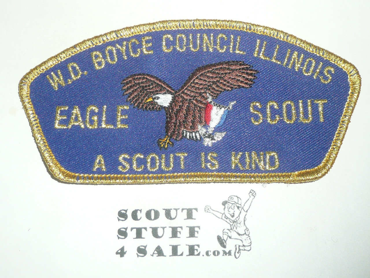 W.D. Boyce Council tu-i CSP - Eagle Scout