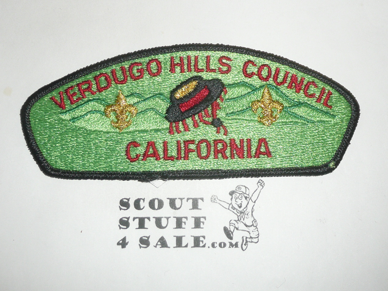 Verdugo Hills Council s5 CSP - Scout