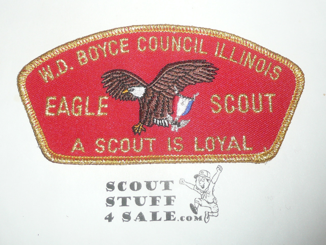 W.D. Boyce Council ta27 CSP - Eagle Scout