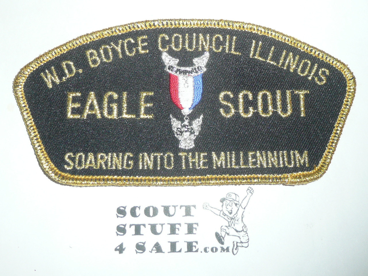 W.D. Boyce Council ta14 CSP - Eagle Scout