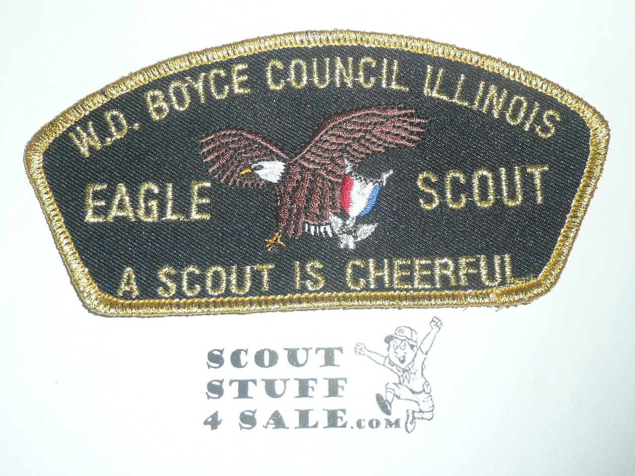 W.D. Boyce Council tu-m CSP - Eagle Scout