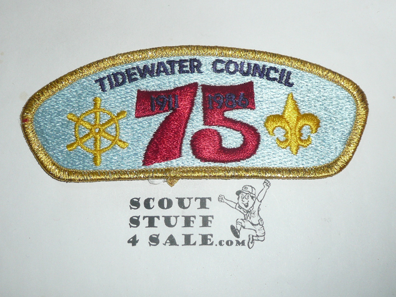 Tidewater Council s4 CSP - Scout