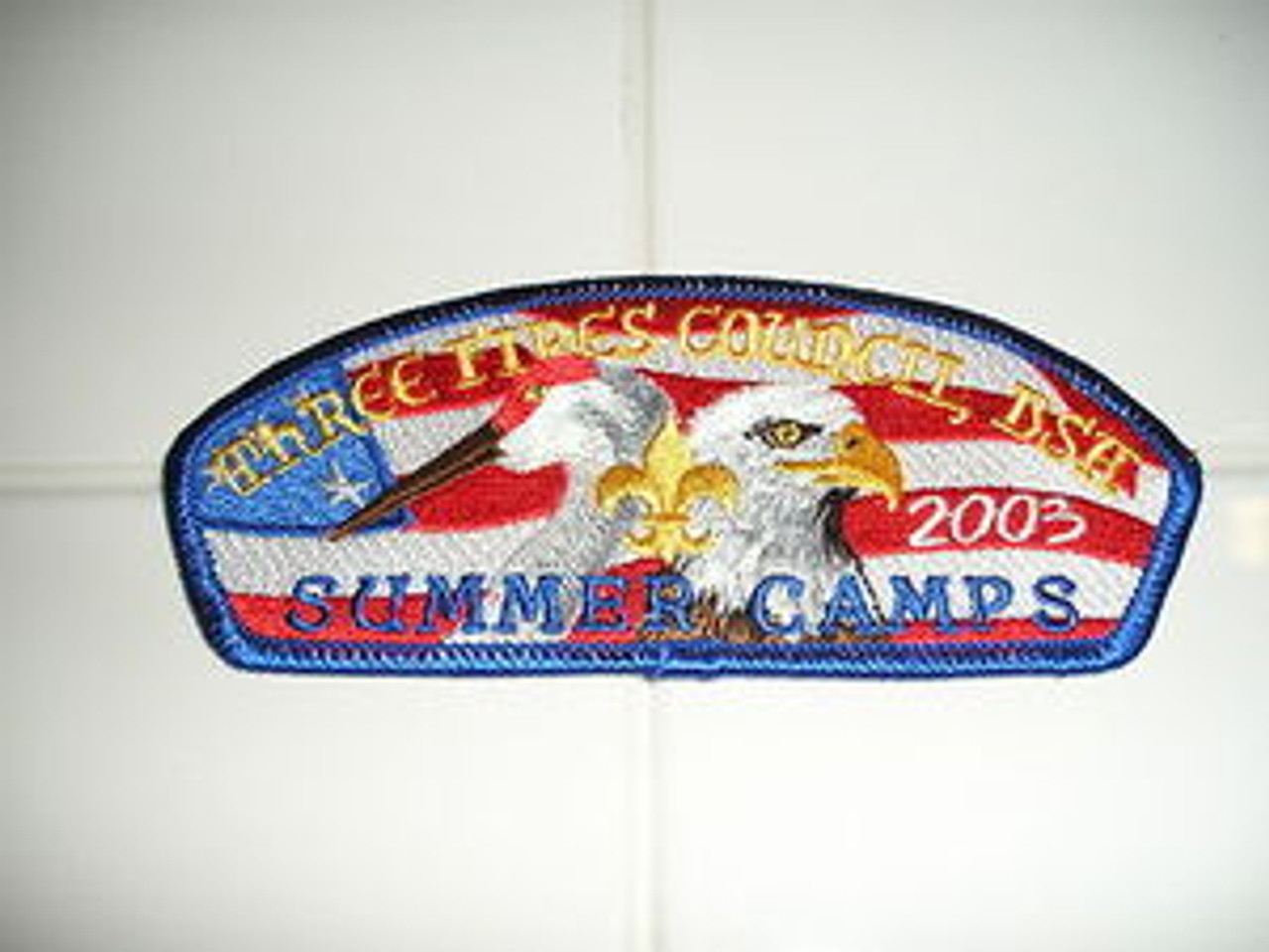 Three Fires Council sa13 CSP - Scout