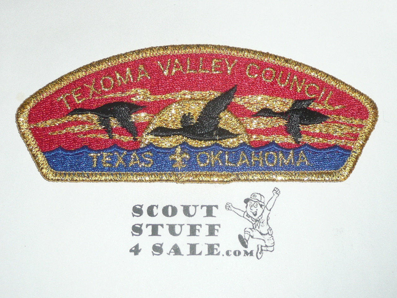 Texoma Valley Council sa4 CSP - Scout
