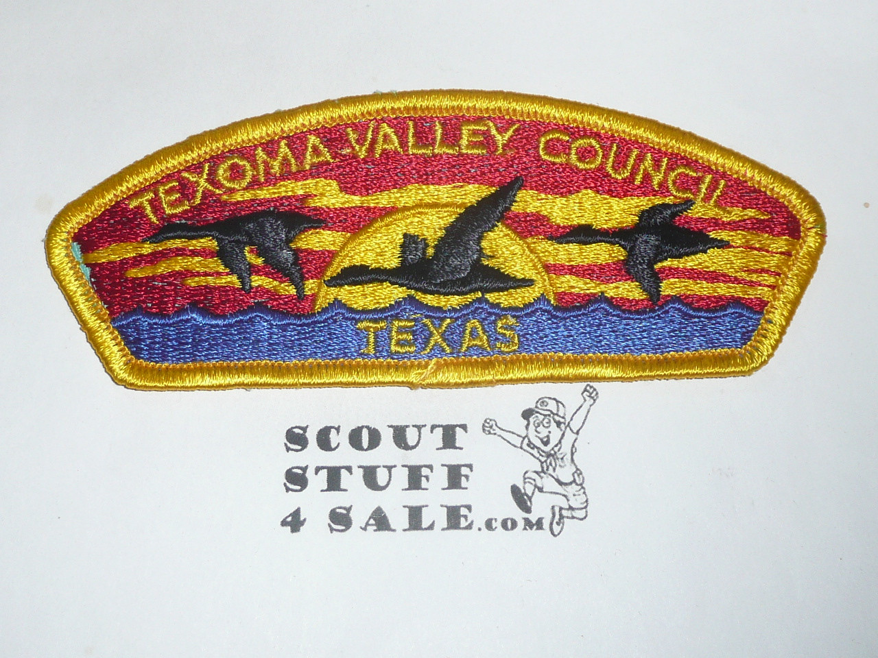 Texoma Valley Council s1 CSP - Scout  MERGED