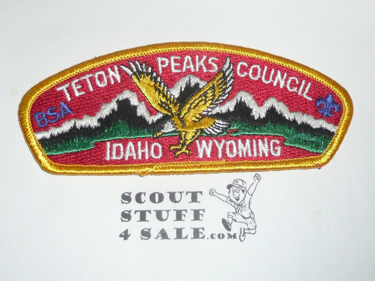 Teton Peaks Council s3 CSP - Scout  MERGED