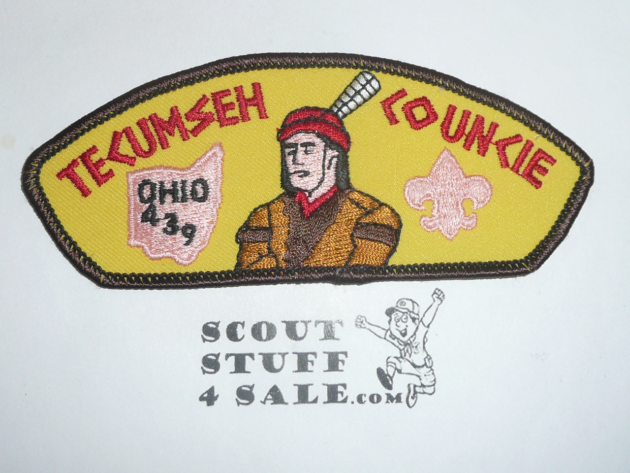 Tecumseh Council t2 CSP - Scout - ERROR