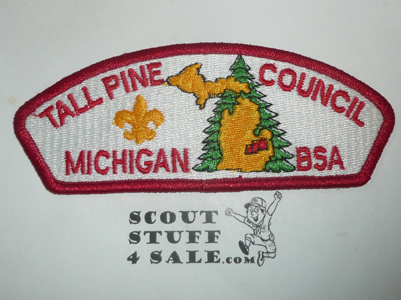 Tall Pine Council s4 CSP - Scout