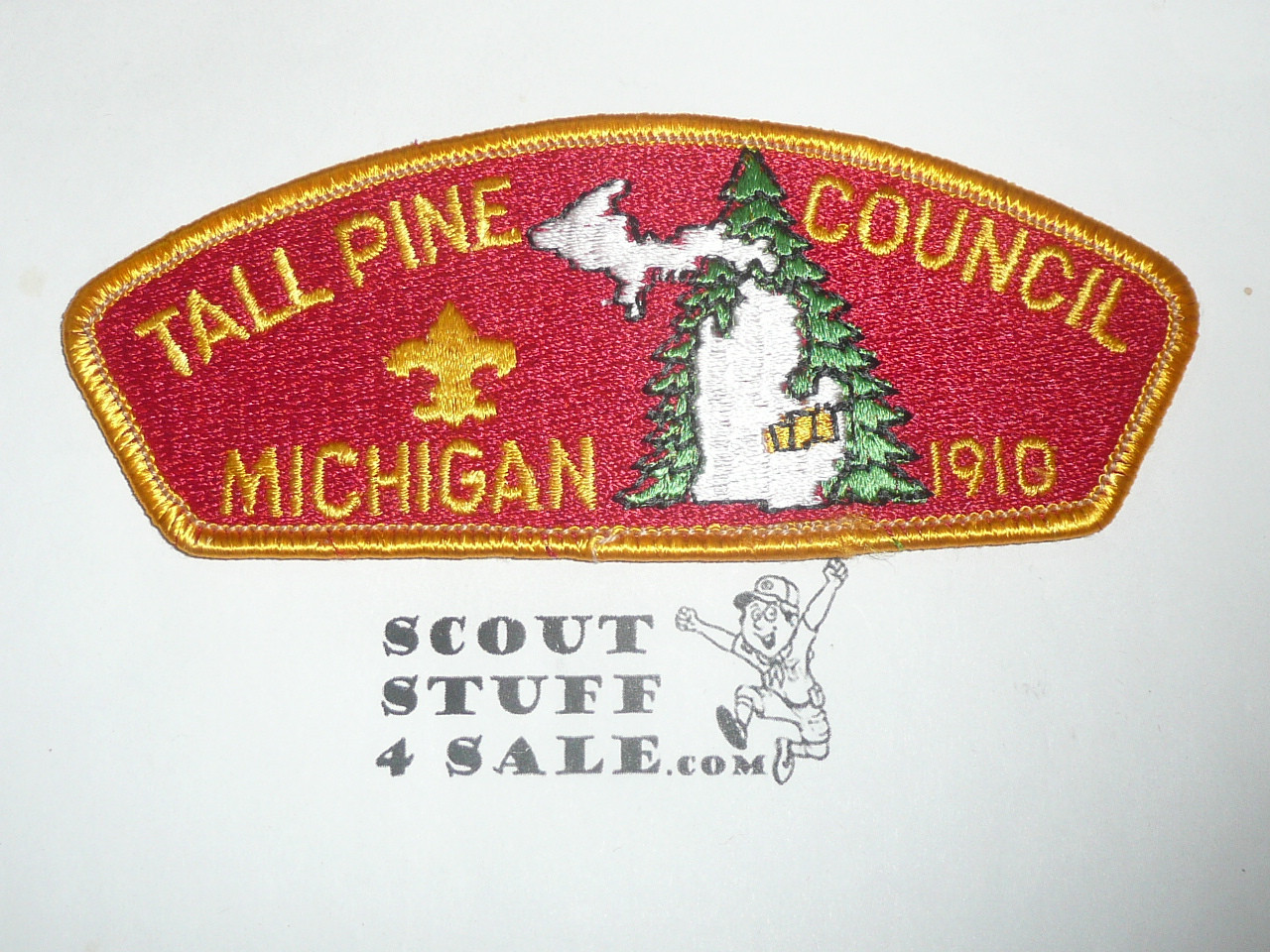 Tall Pine Council s2a CSP - Scout