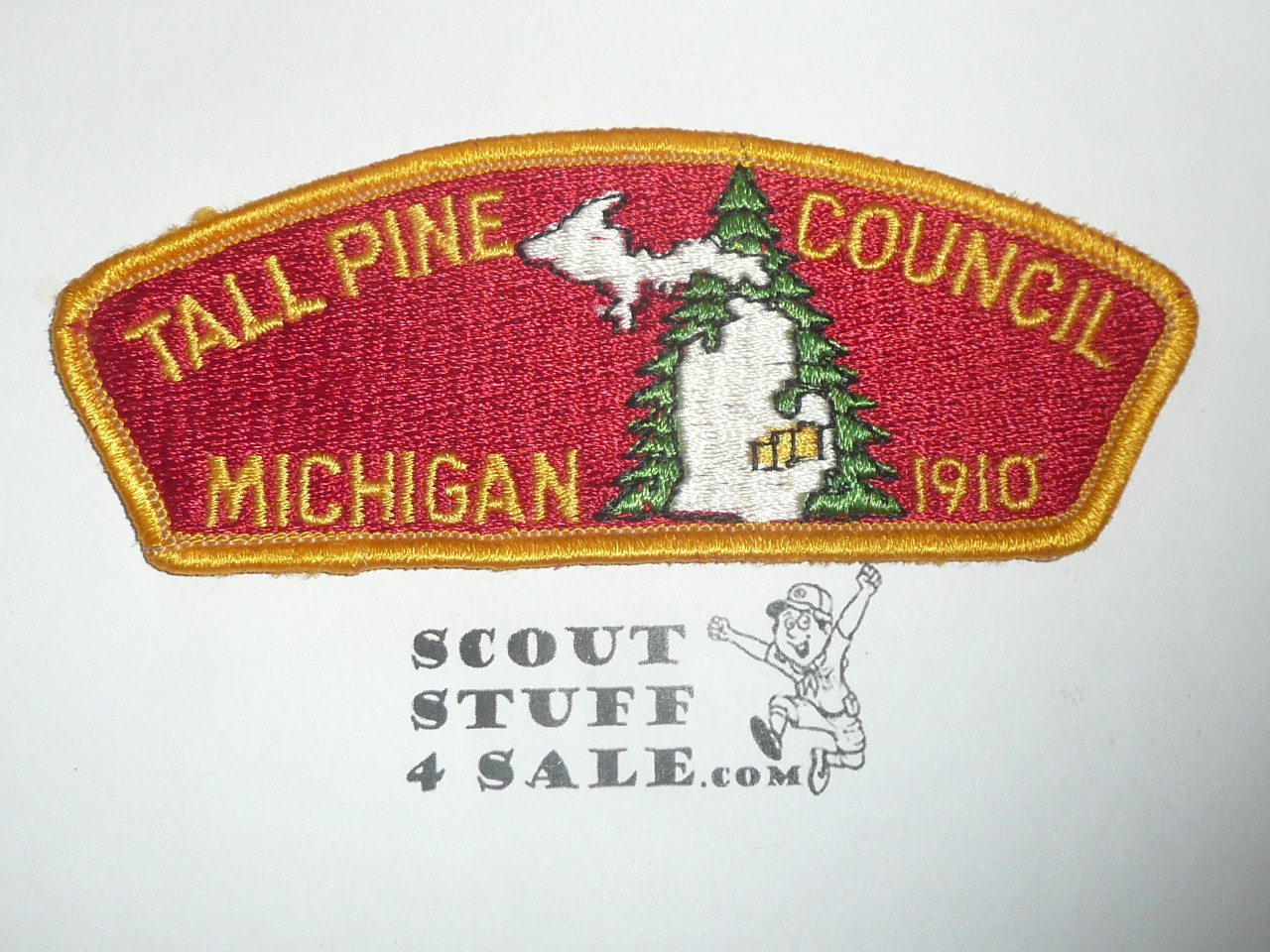 Tall Pine Council s1 CSP - Scout