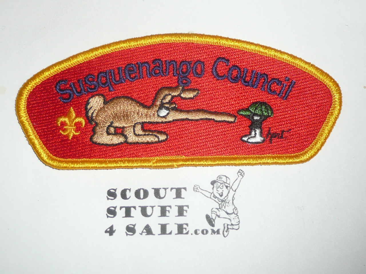 Susquenango Council sa7 CSP - Scout