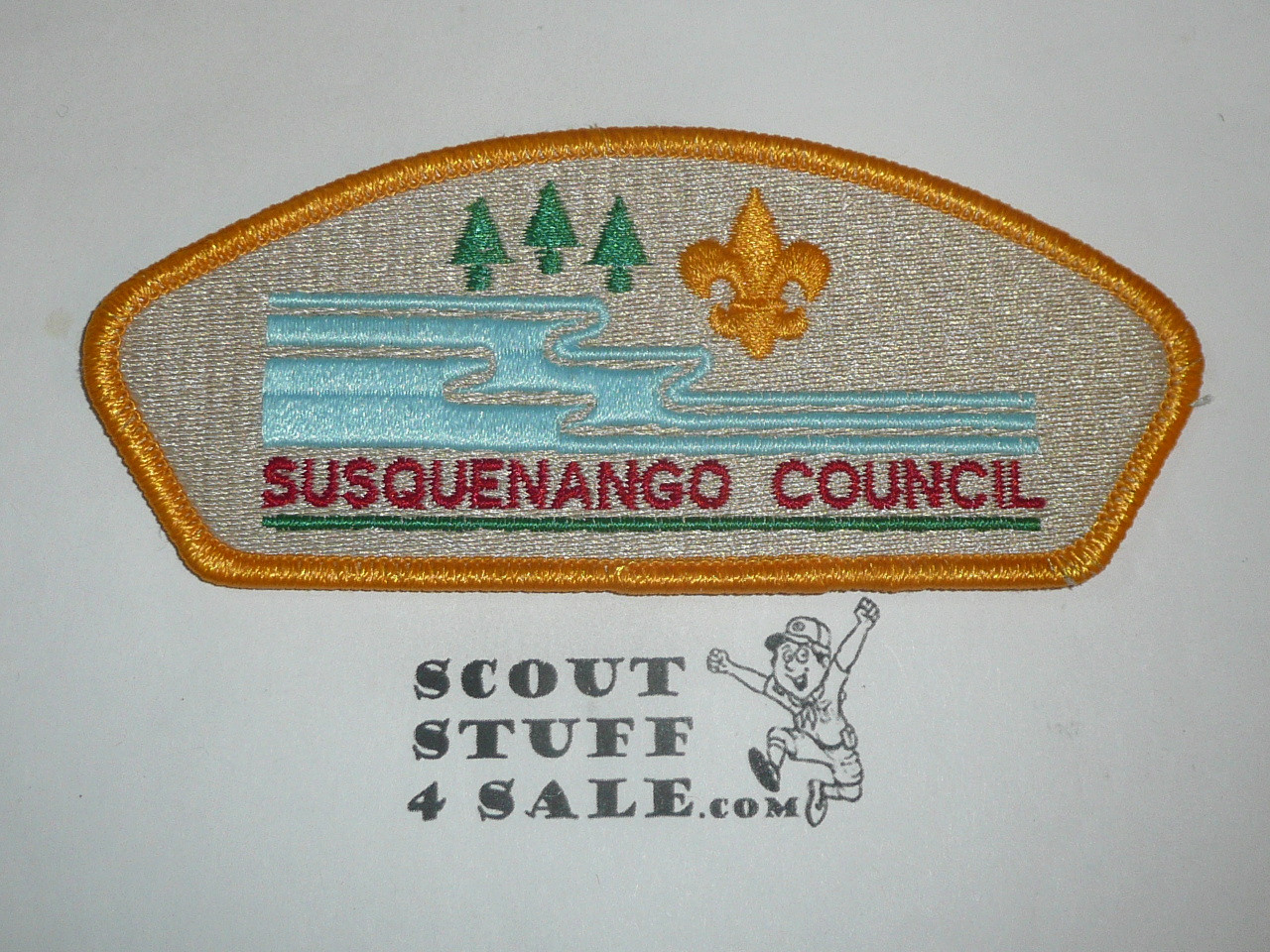 Susquenango Council s5 CSP - Scout  MERGED