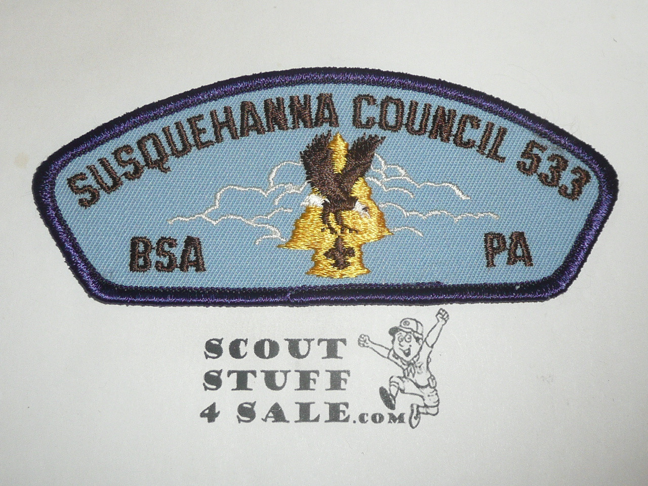 Susquehanna Council t9 CSP - Scout