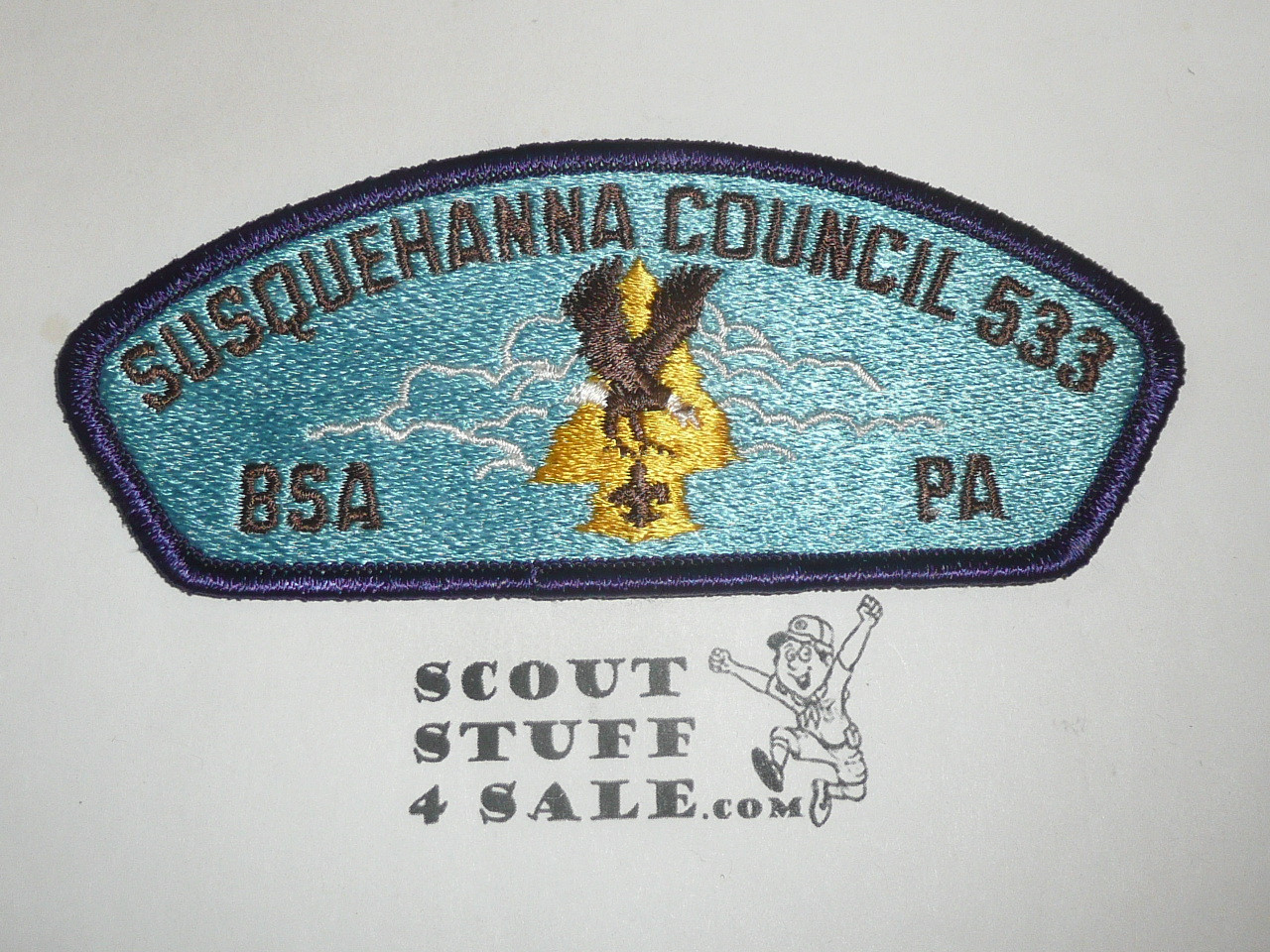 Susquehanna Council sa10 CSP - Scout