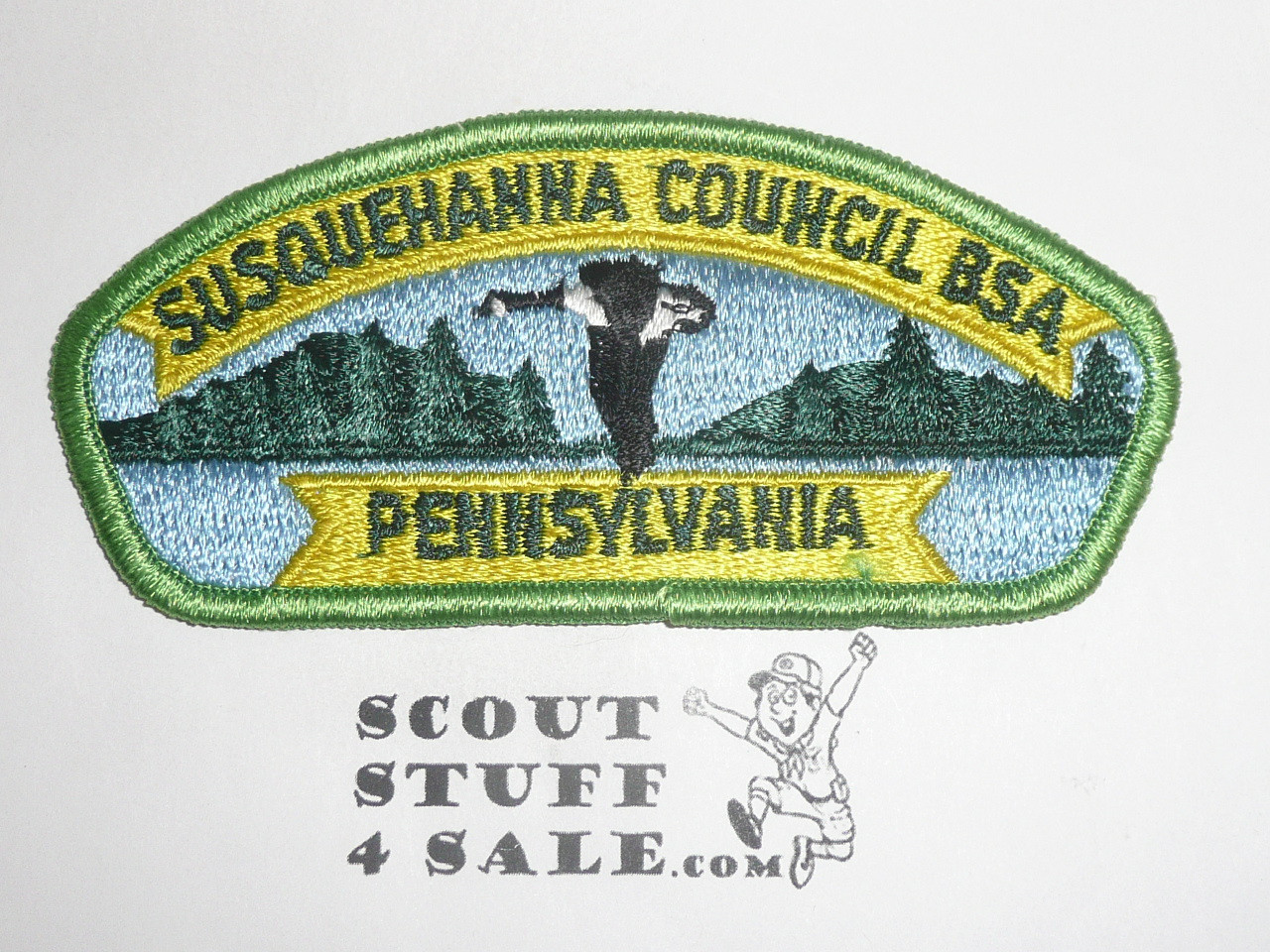 Susquehanna Council s7a CSP - Scout