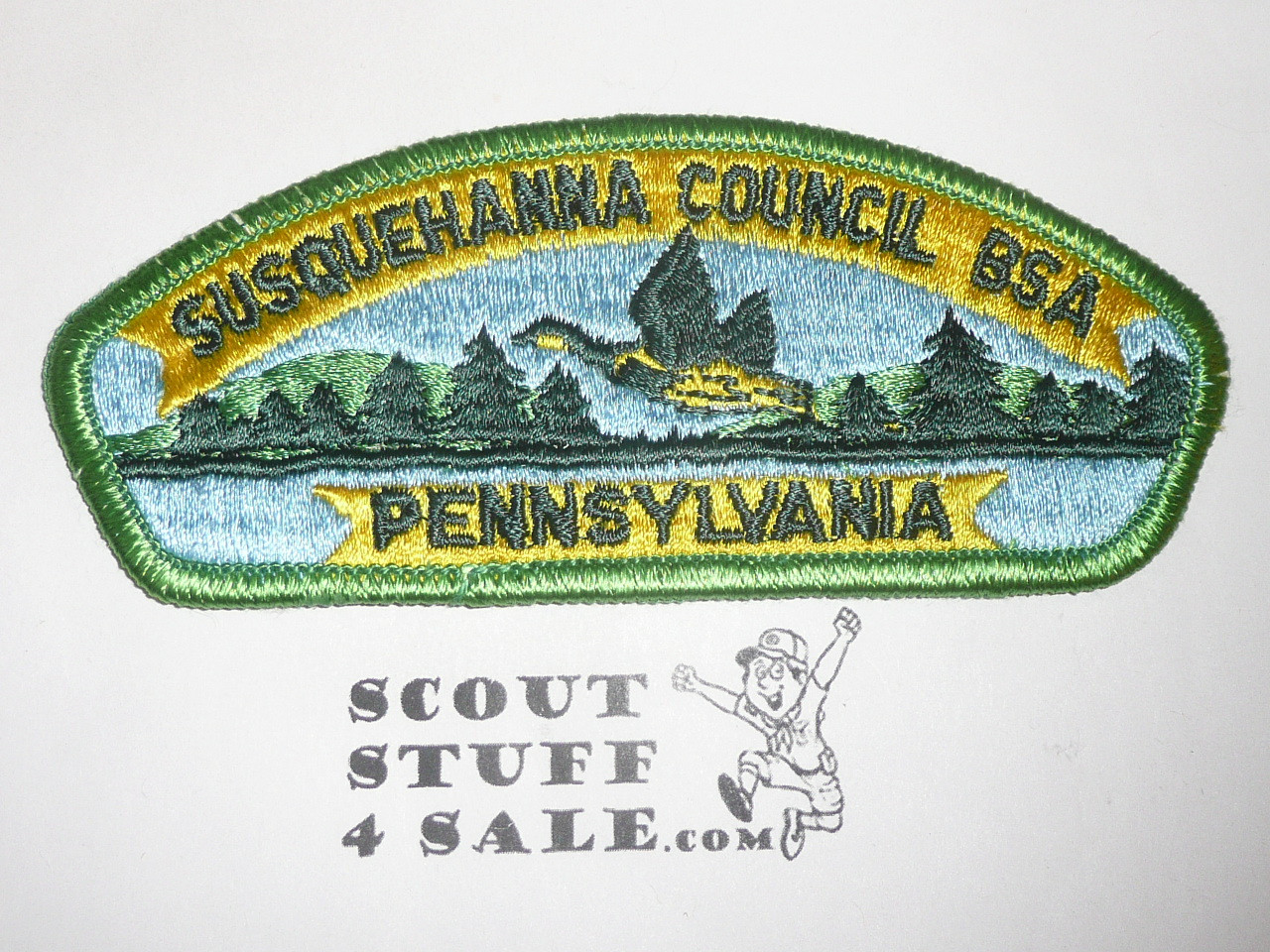 Susquehanna Council s4a CSP - Scout