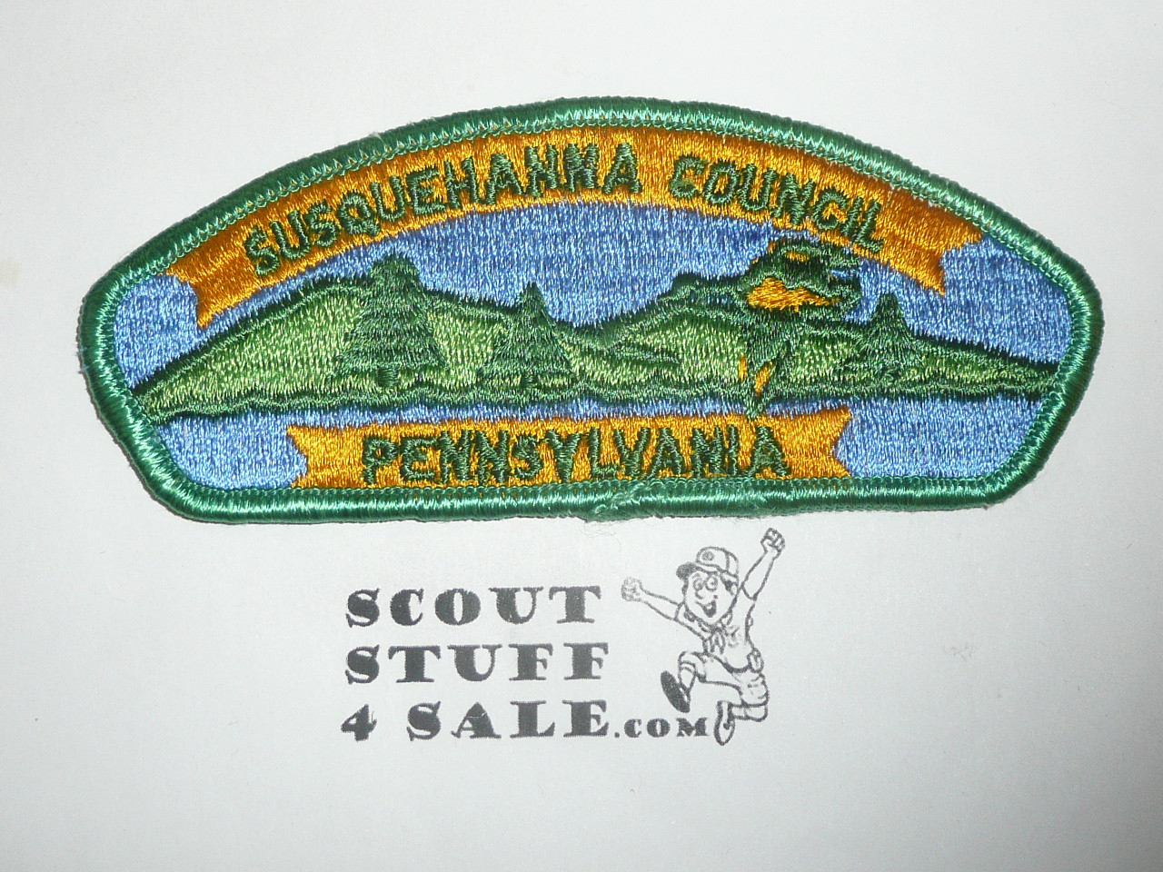 Susquehanna Council s2 CSP - Scout