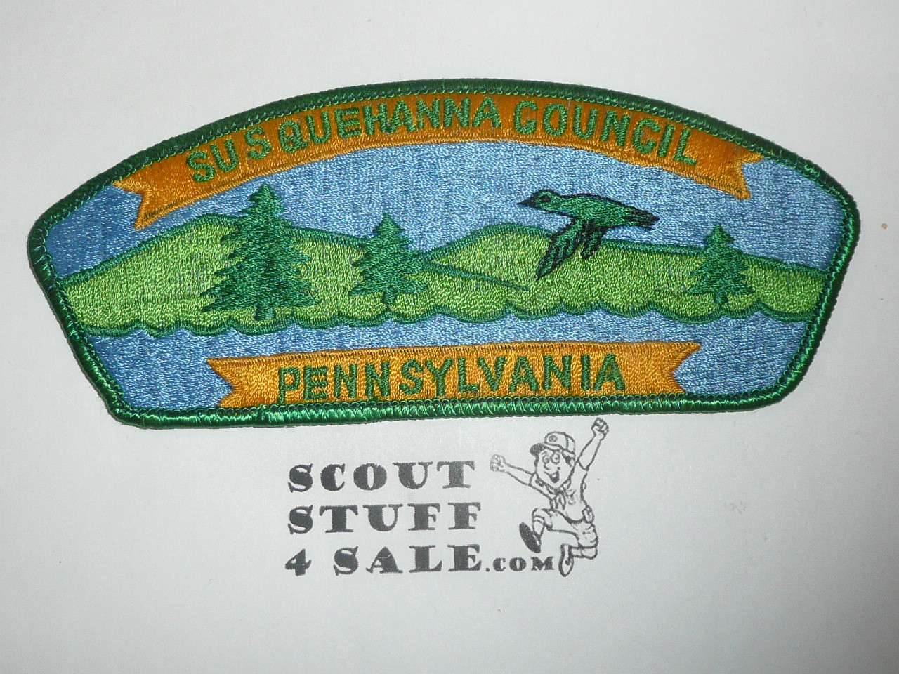 Susquehanna Council s1 CSP - Scout