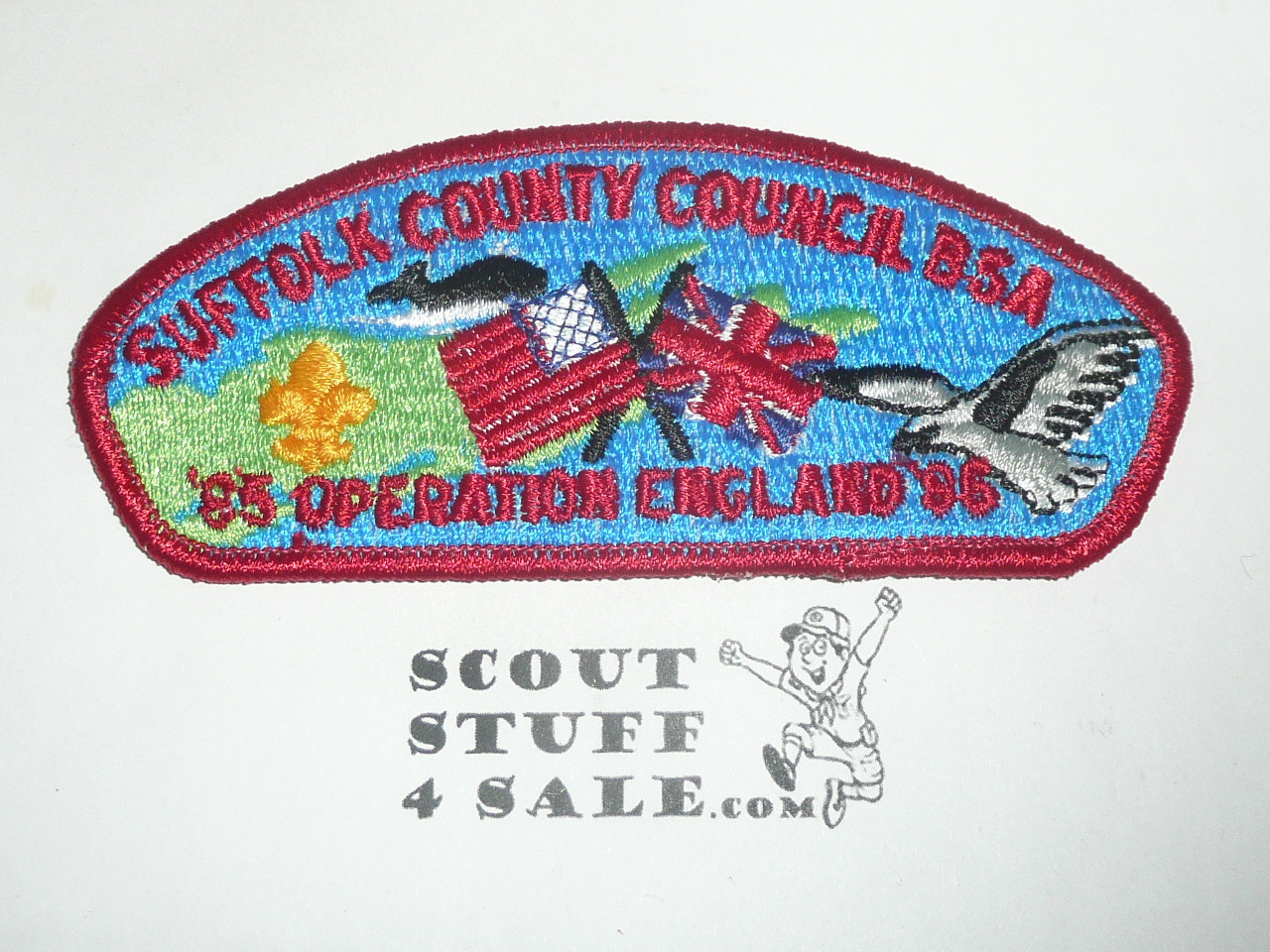 Suffolk County Council sa4 CSP - Scout