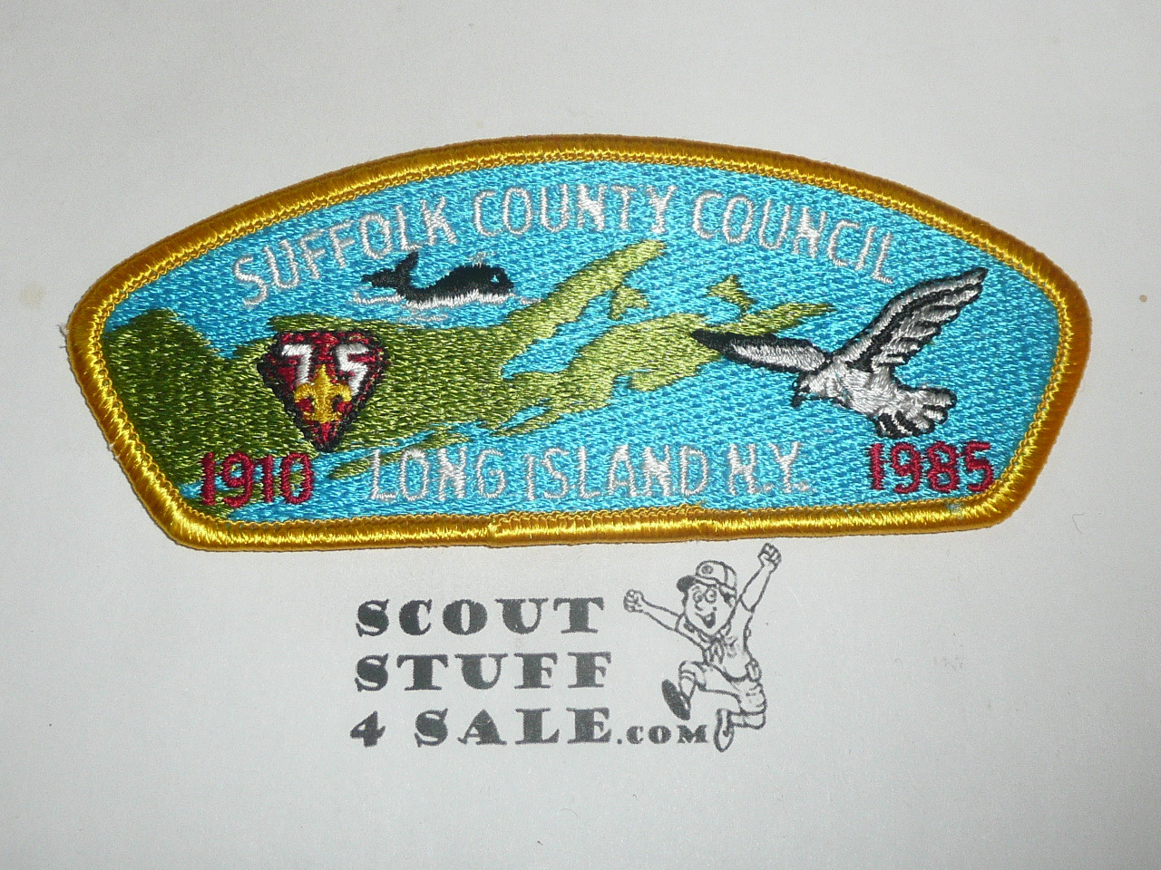 Suffolk County Council sa2 CSP - 75th BSA Anniversary - Scout
