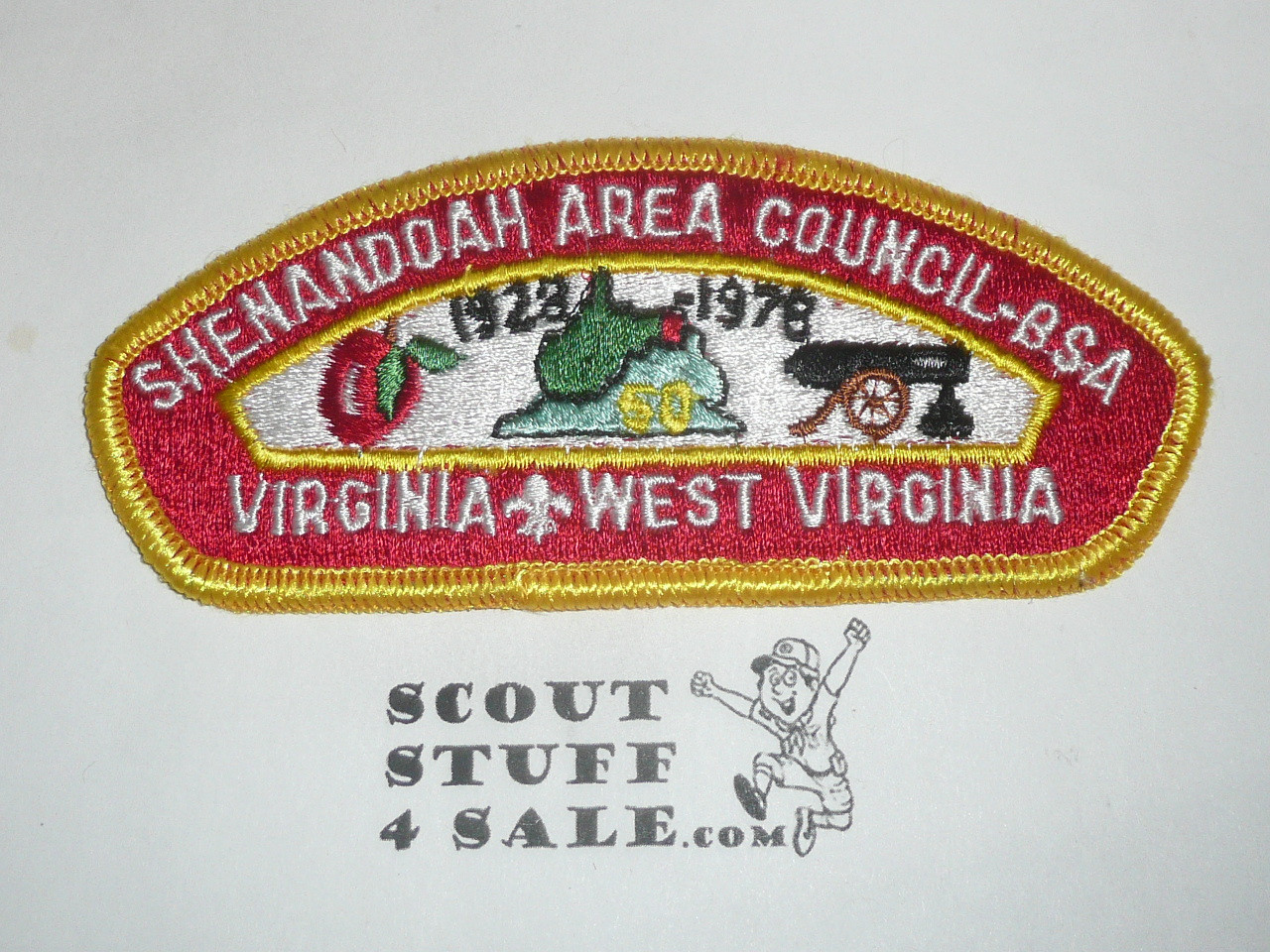 Shenandoah Area Council s2 CSP