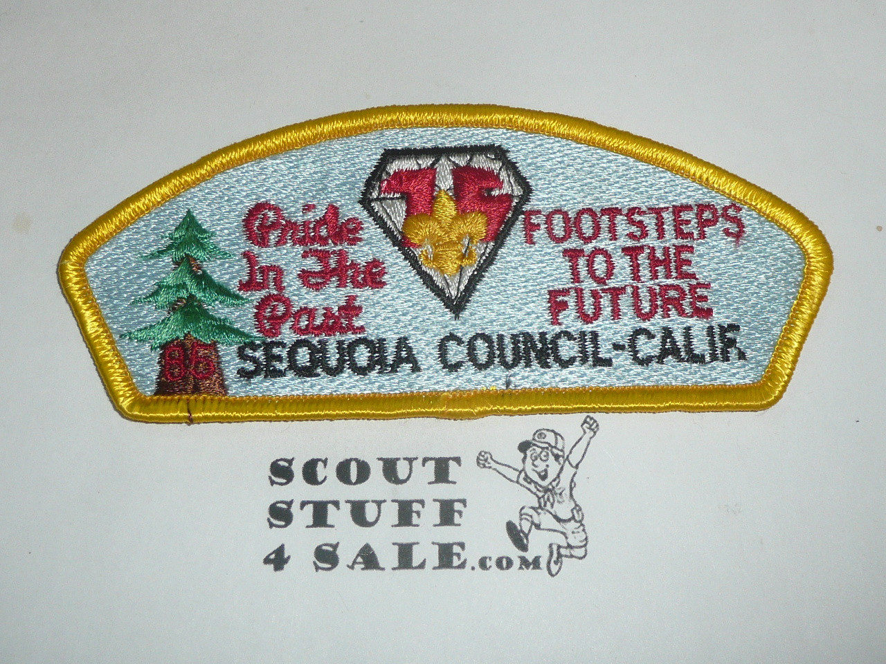 Sequoia Council sa23 CSP - 75th BSA Anniv.