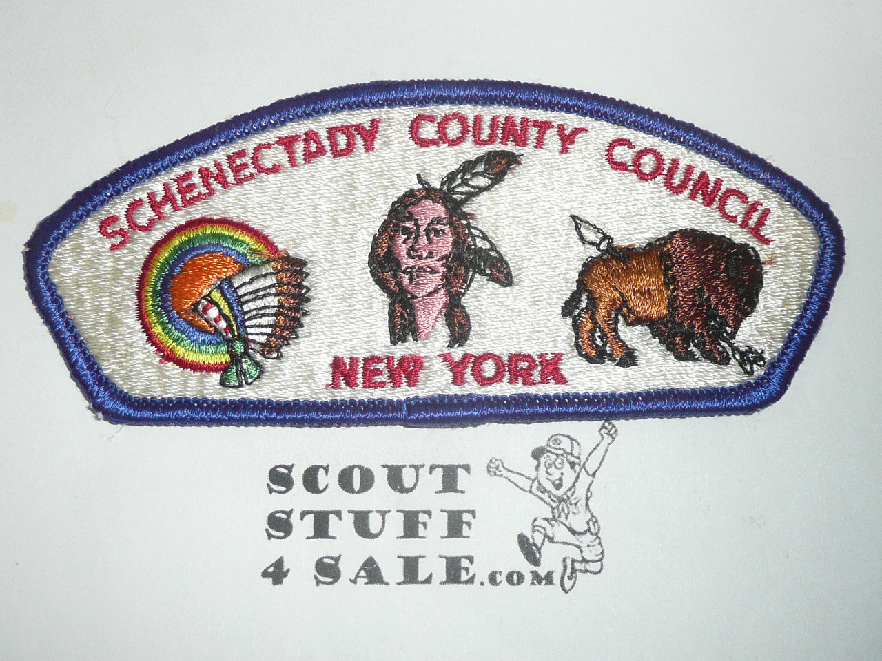 Schenectady County Council s1 CSP - Scout   MERGED