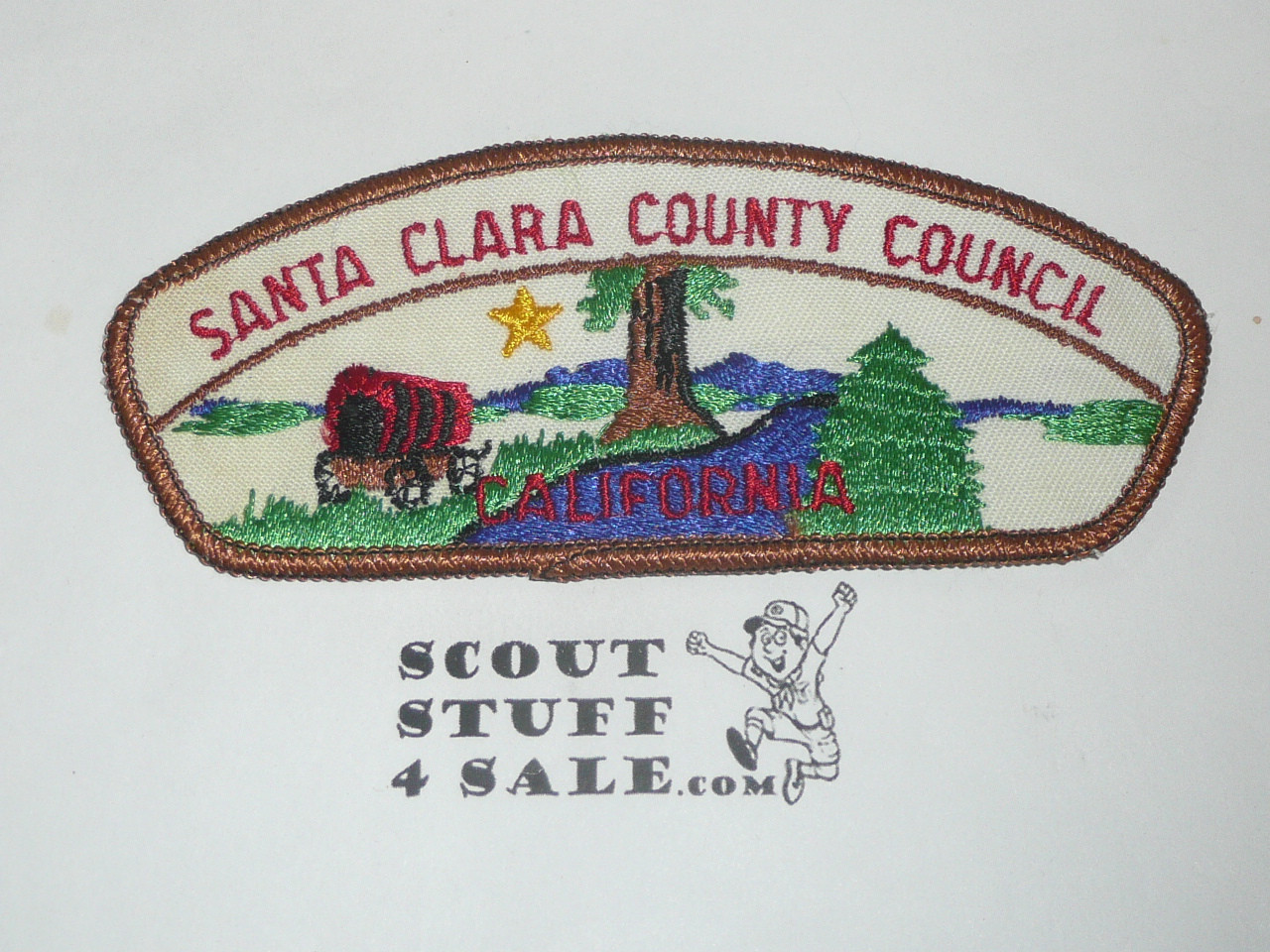 Santa Clara County Council t2 CSP - Scout