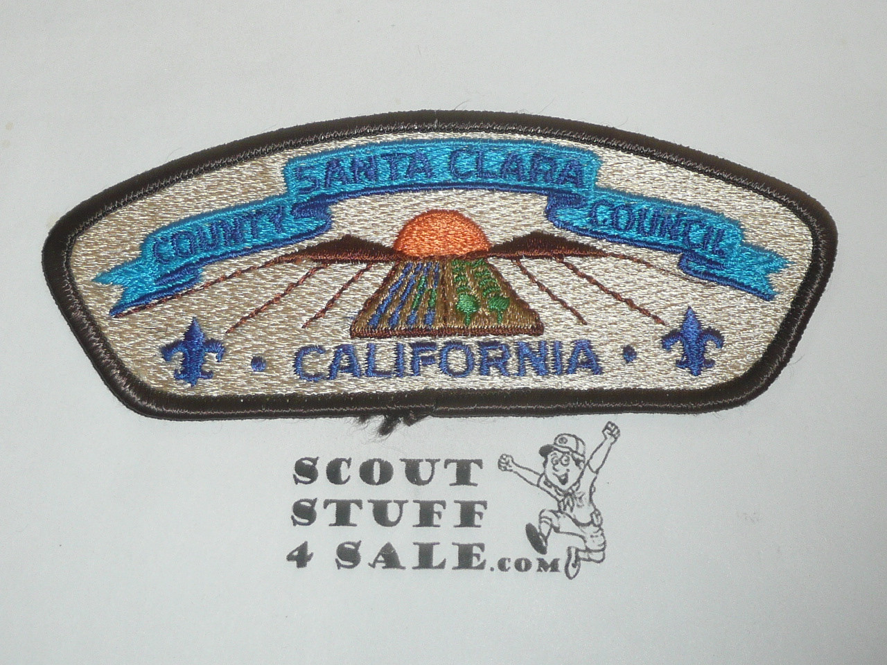 Santa Clara County Council s4 CSP - Scout