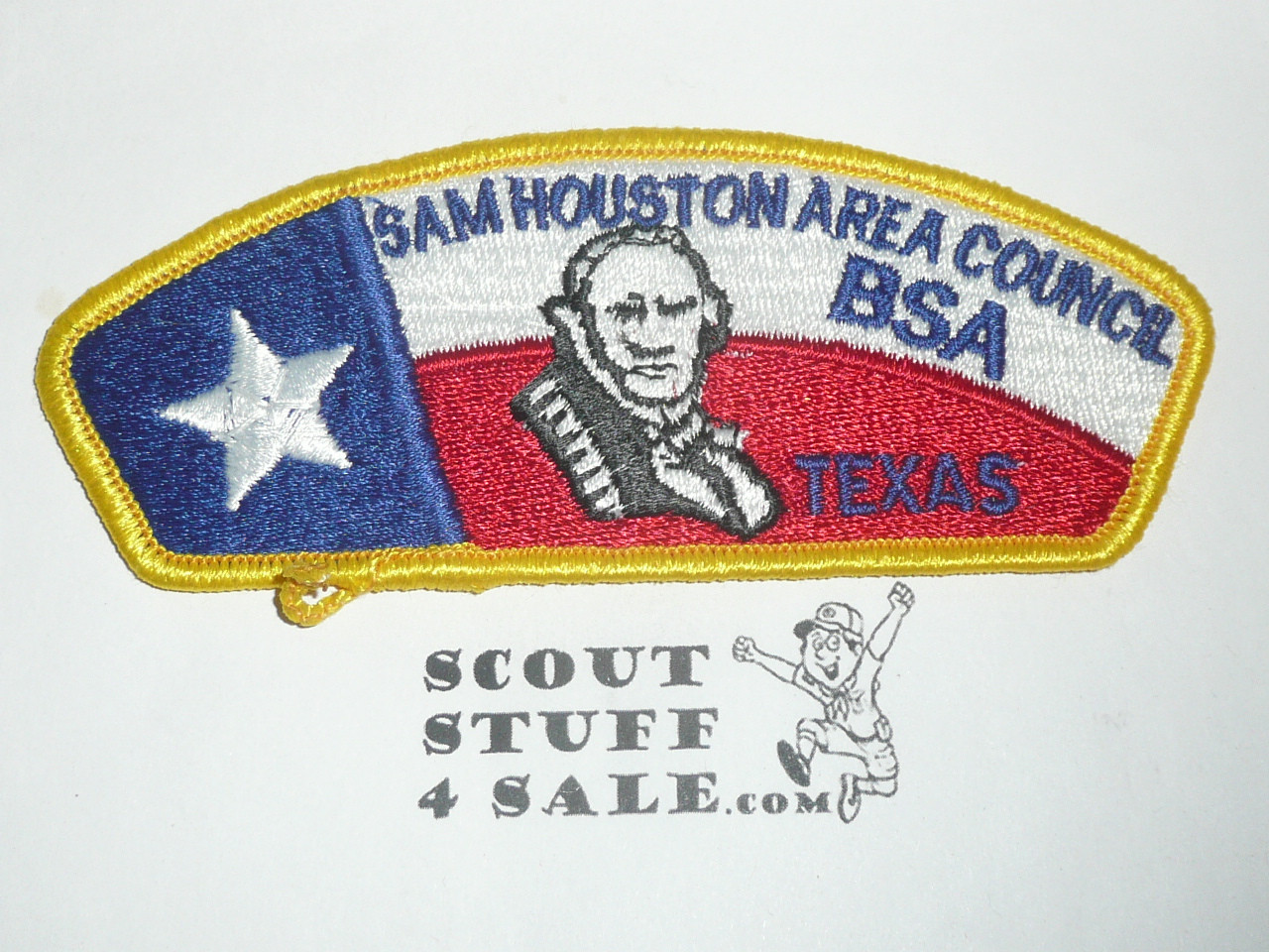 Sam Houston Area Council s6 CSP - Scout