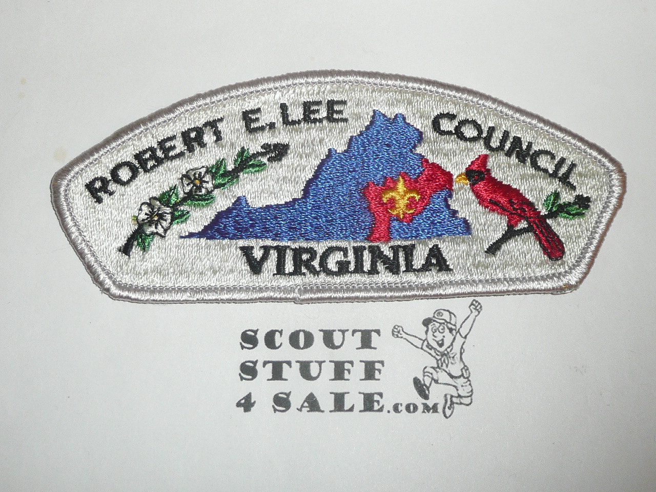 Robert E Lee Council s1a CSP - Scout  MERGED