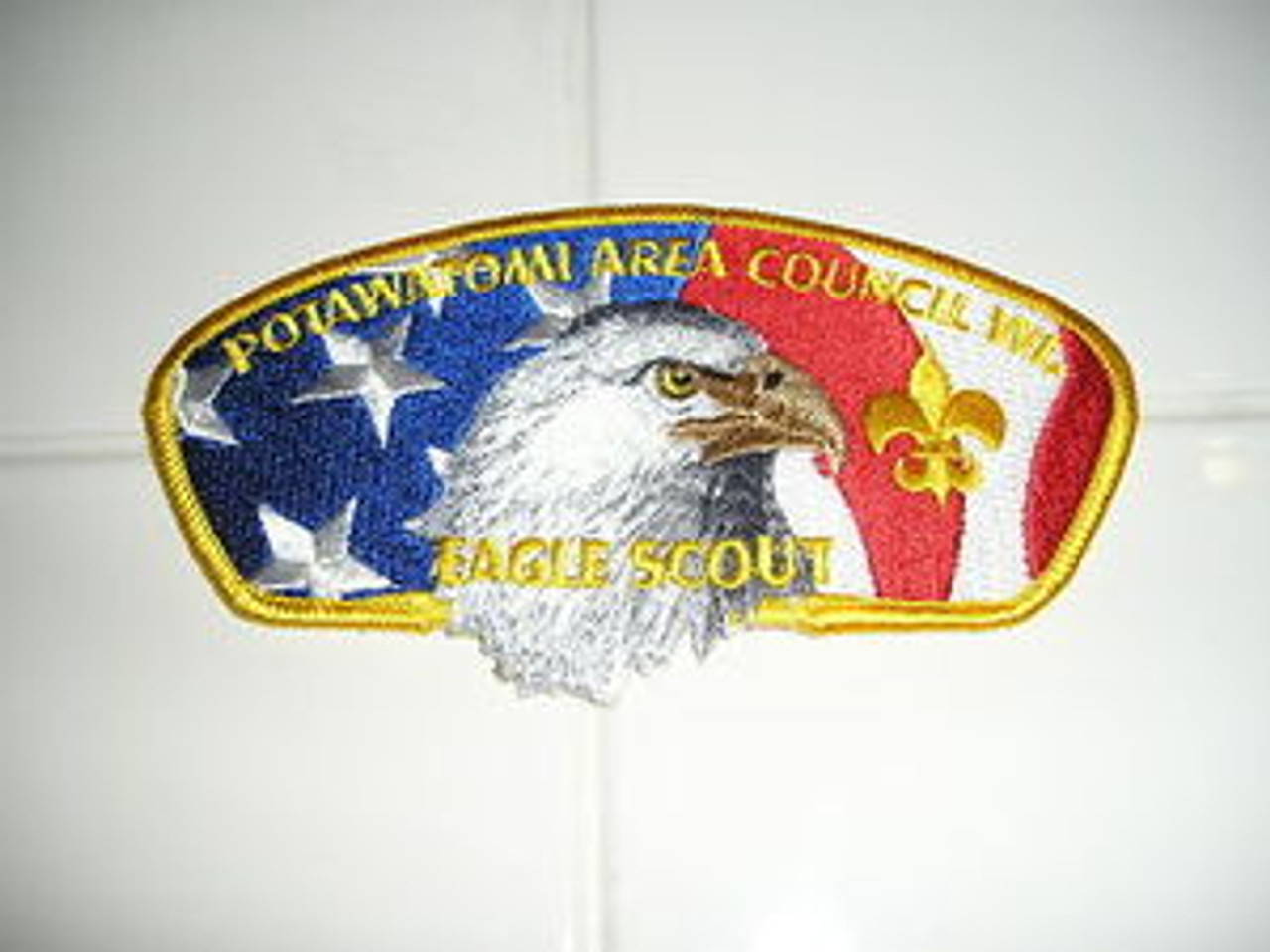 Potawatomi Area Council sa91 CSP - Eagle Scout