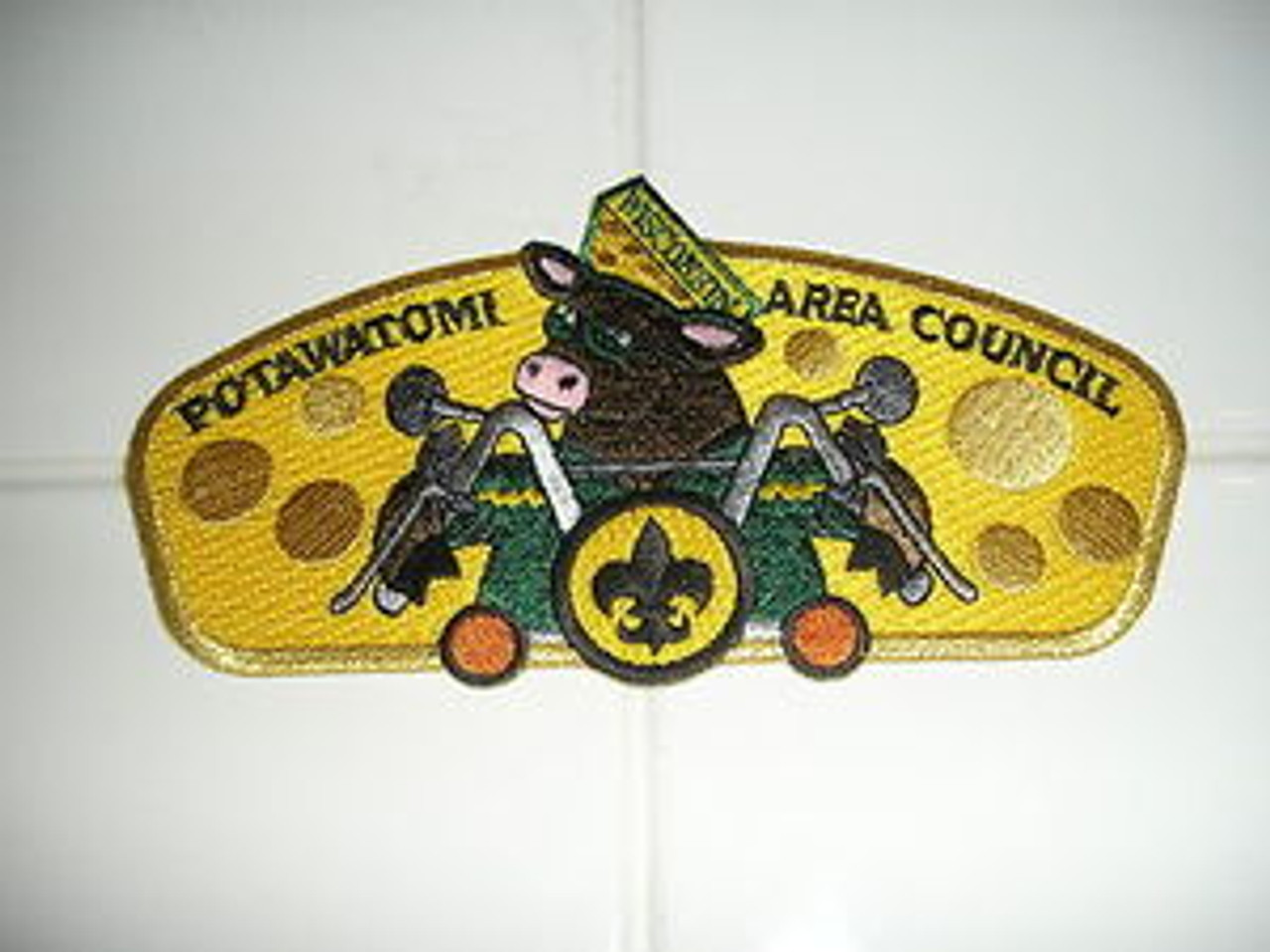 Potawatomi Area Council sa86 CSP - Scout